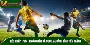 Kèo Chấp 1/25 - Hướng Dẫn Cá Cược Và Cách Tính Tiền Thắng