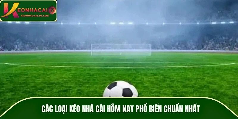 Các loại kèo nhà cái hôm nay phổ biến chuẩn nhất