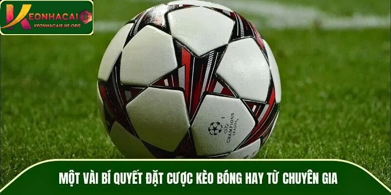 Một vài bí quyết đặt cược kèo bóng hay từ chuyên gia